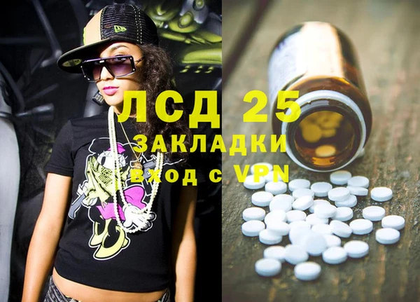 ГАЛЛЮЦИНОГЕННЫЕ ГРИБЫ Бородино