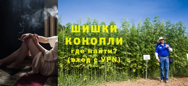 ГАЛЛЮЦИНОГЕННЫЕ ГРИБЫ Бородино