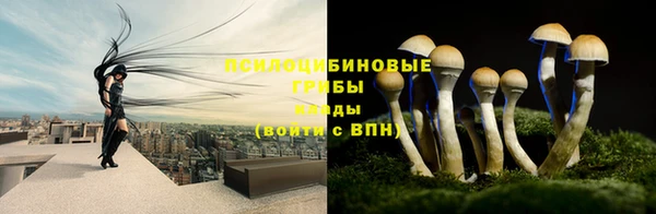 мяу мяу мука Бронницы