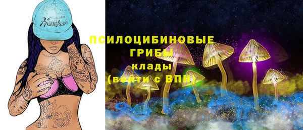 ГАЛЛЮЦИНОГЕННЫЕ ГРИБЫ Бородино