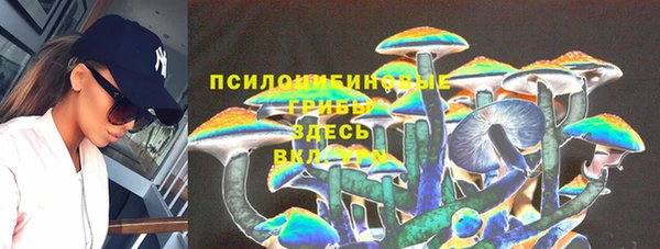 ГАЛЛЮЦИНОГЕННЫЕ ГРИБЫ Бородино