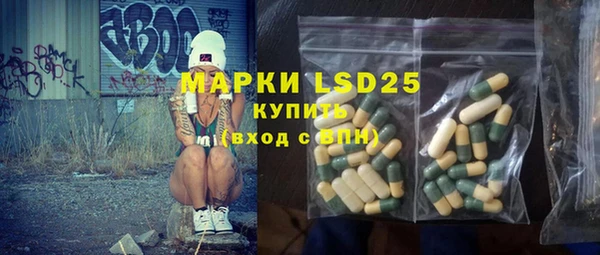 ГАЛЛЮЦИНОГЕННЫЕ ГРИБЫ Бородино