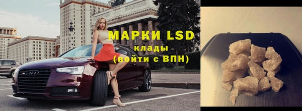 ГАЛЛЮЦИНОГЕННЫЕ ГРИБЫ Бородино